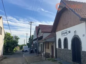 Pronájem ubytování, Velké Bílovice, Belegradská, 139 m2