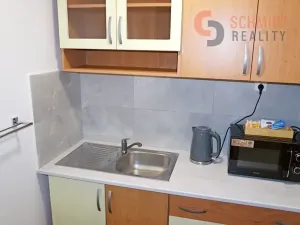Pronájem ubytování, Velké Bílovice, Belegradská, 139 m2