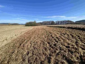 Prodej pole, Kváskovice, 10470 m2