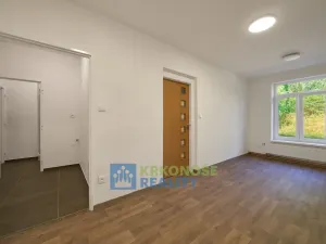 Pronájem bytu 2+1, Stará Paka, Tovární, 60 m2