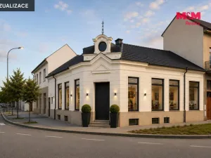 Prodej obchodního prostoru, Prostějov, Kostelecká, 153 m2