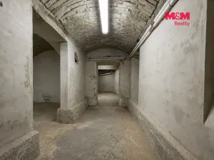 Prodej obchodního prostoru, Prostějov, Kostelecká, 153 m2