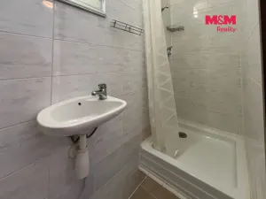 Pronájem ubytování, Rejštejn - Svojše, 350 m2