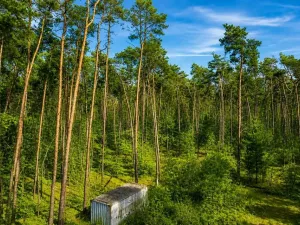 Prodej pozemku pro bydlení, Hradištko, Kersko, 4428 m2