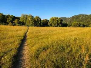 Prodej chaty, Kladruby, 43 m2