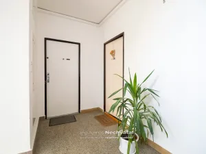 Prodej bytu 2+1, Brno - Lesná, Fillova, 55 m2