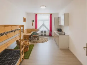Prodej činžovního domu, Stráž nad Nežárkou, Chlumecká, 900 m2