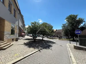 Prodej rodinného domu, Trhové Sviny, Žižkovo náměstí, 230 m2