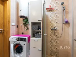 Prodej bytu 1+kk, Šakvice, Hlavní, 31 m2