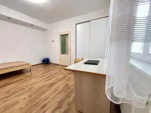 Pronájem bytu 1+1, Brno, Vápenka, 45 m2