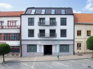 Prodej bytu 2+kk, Bystřice nad Pernštejnem, Masarykovo náměstí, 64 m2