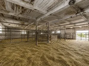 Prodej zemědělského objektu, Dolní Dvořiště, 2000 m2
