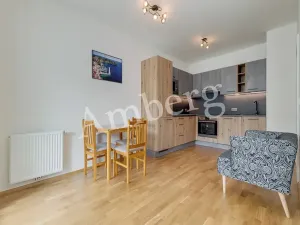 Pronájem bytu 1+kk, Praha - Karlín, Breitfeldova, 38 m2
