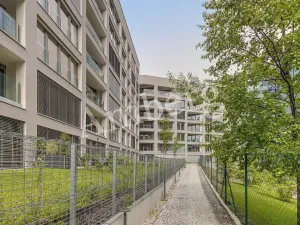 Pronájem bytu 1+kk, Praha - Karlín, Breitfeldova, 38 m2
