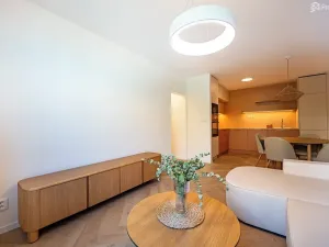 Prodej bytu 2+kk, Brno, Koniklecová, 49 m2