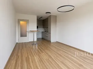 Pronájem bytu 2+kk, Písek, Pražská, 60 m2