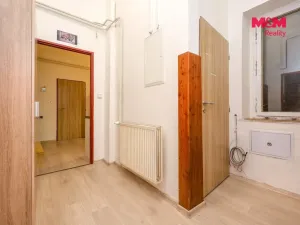Pronájem bytu 4+kk, Olomouc, Palackého, 180 m2