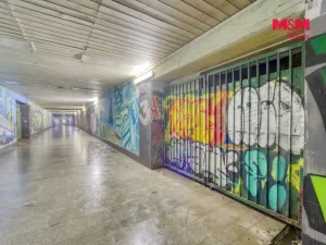 Pronájem skladu, Plzeň - Jižní Předměstí, Husova, 70 m2