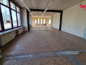 Pronájem obchodního prostoru, Orlová - Lutyně, F. S. Tůmy, 554 m2