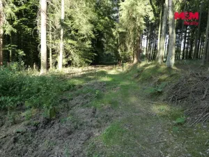 Prodej lesa, Chyňava - Lhotka u Berouna, 7138 m2