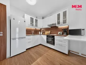 Prodej bytu 3+kk, Praha - Žižkov, Hartigova, 65 m2