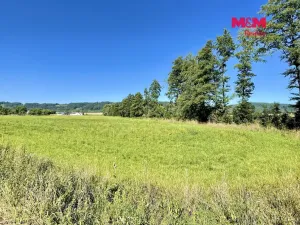 Prodej pozemku pro bydlení, Damníkov, 5033 m2