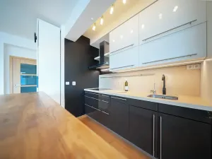 Pronájem bytu 3+kk, Brno, Čeňka Růžičky, 84 m2