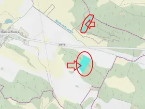Prodej lesa, Bochovice, 13281 m2