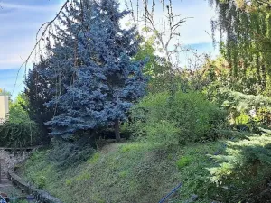 Pronájem bytu 2+1, Praha - Bubeneč, Terronská, 77 m2