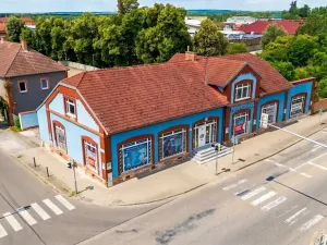 Prodej obchodního prostoru, Hodonín, Brněnská, 875 m2