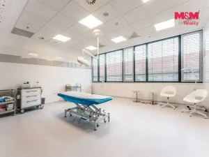 Pronájem komerční nemovitosti, Praha, Jihlavská, 25 m2