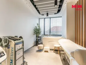 Pronájem komerční nemovitosti, Praha, Jihlavská, 25 m2