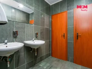 Pronájem obchodního prostoru, Praha, Trnkovo náměstí, 324 m2