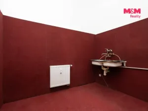 Pronájem obchodního prostoru, Praha, Trnkovo náměstí, 324 m2