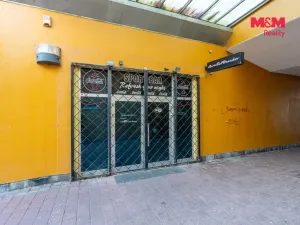Pronájem obchodního prostoru, Praha, Trnkovo náměstí, 324 m2