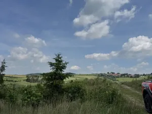 Prodej lesa, Chlum, 5098 m2