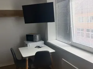 Pronájem pokoje, Přerov, 25 m2