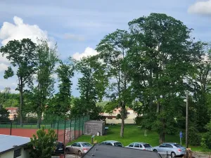 Pronájem bytu 1+kk, Jihlava, Hálkova, 39 m2