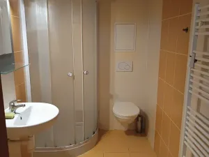 Pronájem bytu 1+kk, Brno, Francouzská, 25 m2