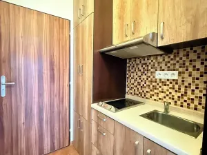 Prodej bytu 1+kk, Městec Králové, Malátova, 18 m2