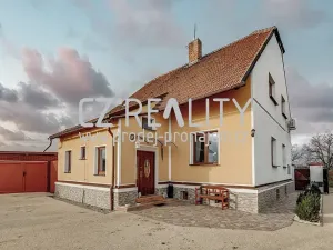Prodej komerčního pozemku, Pečky, 35798 m2