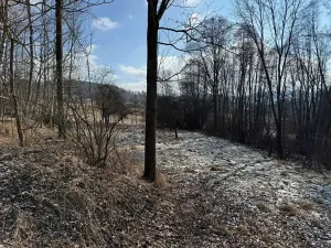 Prodej chalupy, Zdíkov, 120 m2