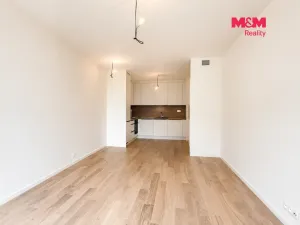 Pronájem bytu 2+kk, Praha, Veselovského, 52 m2