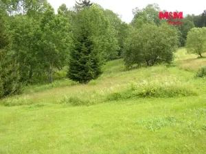 Prodej louky, Benecko, 4214 m2