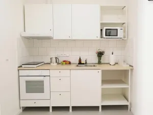 Pronájem bytu 1+kk, Praha - Žižkov, Štítného, 36 m2