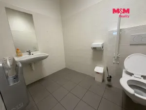 Pronájem obchodního prostoru, Hrdějovice, Na Bahnech, 420 m2