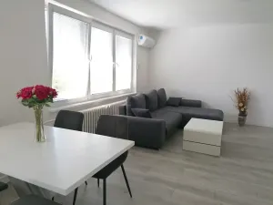 Pronájem bytu 3+kk, Šumice, 100 m2