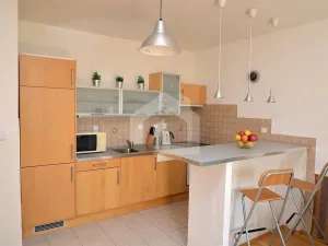 Pronájem bytu 1+kk, České Budějovice - České Budějovice 6, Jeronýmova, 38 m2