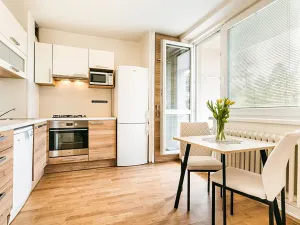 Prodej bytu 1+1, Brno, Horácké náměstí, 45 m2