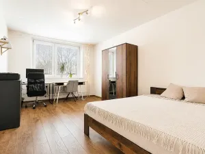 Prodej bytu 1+1, Brno, Horácké náměstí, 45 m2